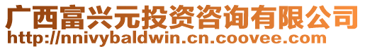 廣西富興元投資咨詢(xún)有限公司