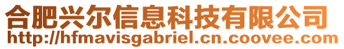 合肥興爾信息科技有限公司