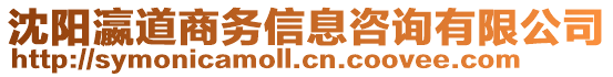 沈陽瀛道商務信息咨詢有限公司