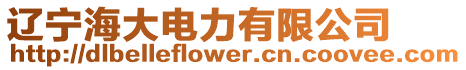 遼寧海大電力有限公司