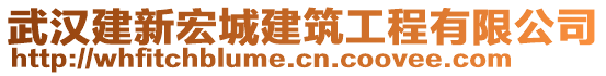 武漢建新宏城建筑工程有限公司