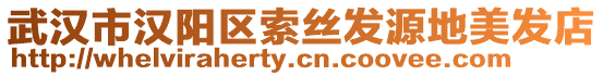 武漢市漢陽(yáng)區(qū)索絲發(fā)源地美發(fā)店