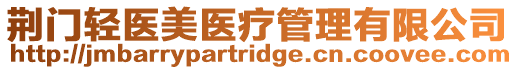 荊門輕醫(yī)美醫(yī)療管理有限公司