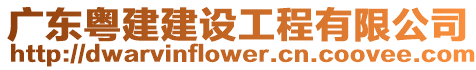 廣東粵建建設工程有限公司