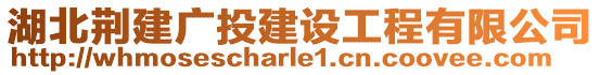 湖北荊建廣投建設工程有限公司