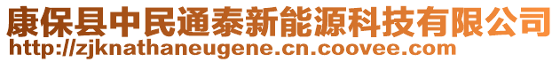 康保縣中民通泰新能源科技有限公司