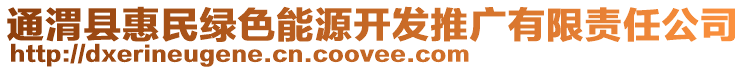 通渭縣惠民綠色能源開發(fā)推廣有限責(zé)任公司