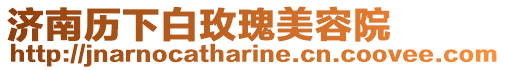 濟南歷下白玫瑰美容院