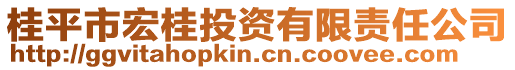 桂平市宏桂投資有限責(zé)任公司