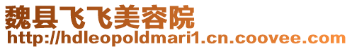 魏縣飛飛美容院