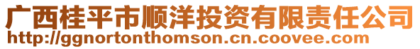 廣西桂平市順洋投資有限責任公司