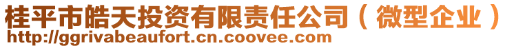 桂平市皓天投資有限責任公司(微型企業)