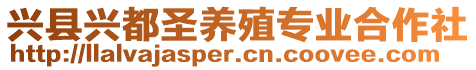 興縣興都圣養(yǎng)殖專業(yè)合作社