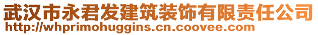 武漢市永君發(fā)建筑裝飾有限責(zé)任公司