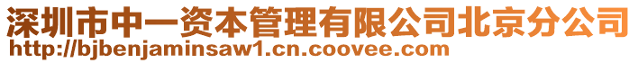 深圳市中一资本管理有限公司北京分公司