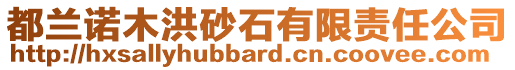 都蘭諾木洪砂石有限責任公司