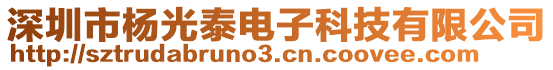 深圳市杨光泰电子科技有限公司