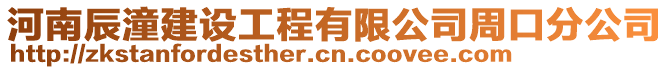 河南辰潼建設工程有限公司周口分公司