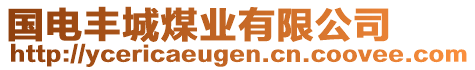 國(guó)電豐城煤業(yè)有限公司