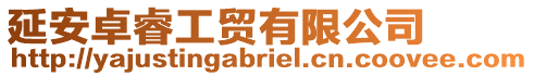 延安卓睿工貿(mào)有限公司