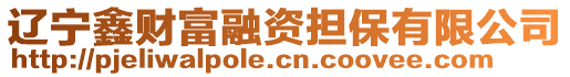 遼寧鑫財(cái)富融資擔(dān)保有限公司