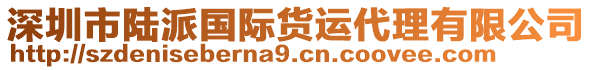 深圳市陸派國際貨運(yùn)代理有限公司