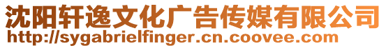 沈陽軒逸文化廣告?zhèn)髅接邢薰? style=