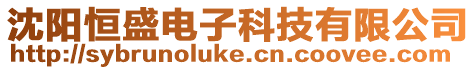沈陽恒盛電子科技有限公司