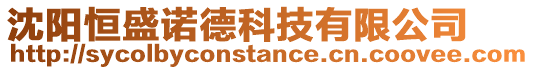 沈陽恒盛諾德科技有限公司