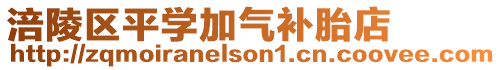 涪陵區(qū)平學(xué)加氣補(bǔ)胎店