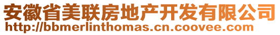 安徽省美聯房地產開發有限公司