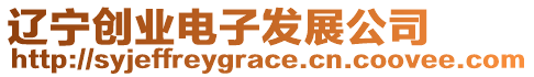 遼寧創(chuàng)業(yè)電子發(fā)展公司