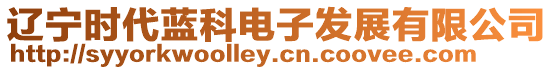 遼寧時(shí)代藍(lán)科電子發(fā)展有限公司