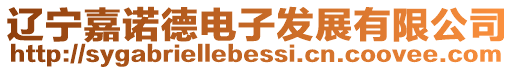 遼寧嘉諾德電子發展有限公司
