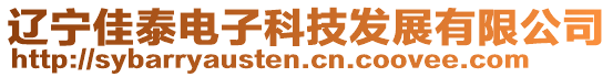 遼寧佳泰電子科技發(fā)展有限公司