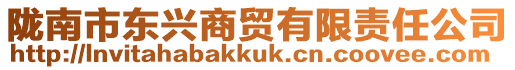 隴南市東興商貿有限責任公司