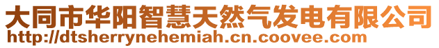 大同市華陽智慧天然氣發電有限公司