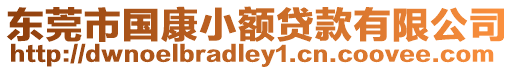 東莞市國康小額貸款有限公司
