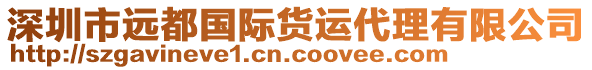 深圳市遠都國際貨運代理有限公司