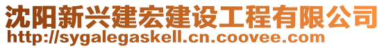 沈陽(yáng)新興建宏建設(shè)工程有限公司