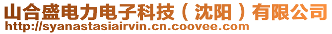 山合盛電力電子科技(沈陽)有限公司
