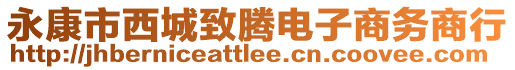 永康市西城致騰電子商務(wù)商行