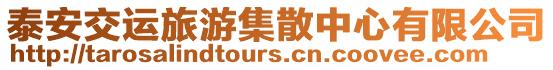 泰安交運(yùn)旅游集散中心有限公司