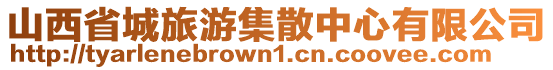 山西省城旅游集散中心有限公司