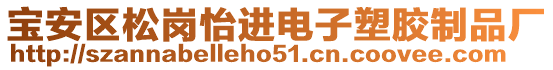 寶安區(qū)松崗怡進(jìn)電子塑膠制品廠