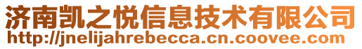 濟南凱之悅信息技術有限公司