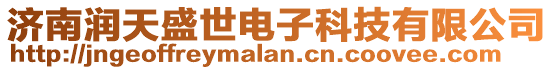 濟(jì)南潤天盛世電子科技有限公司