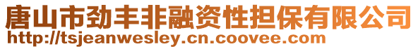 唐山市勁豐非融資性擔(dān)保有限公司