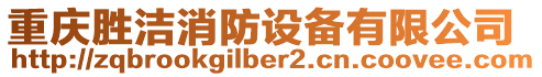 重慶勝潔消防設(shè)備有限公司