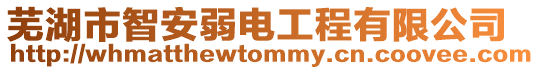 蕪湖市智安弱電工程有限公司